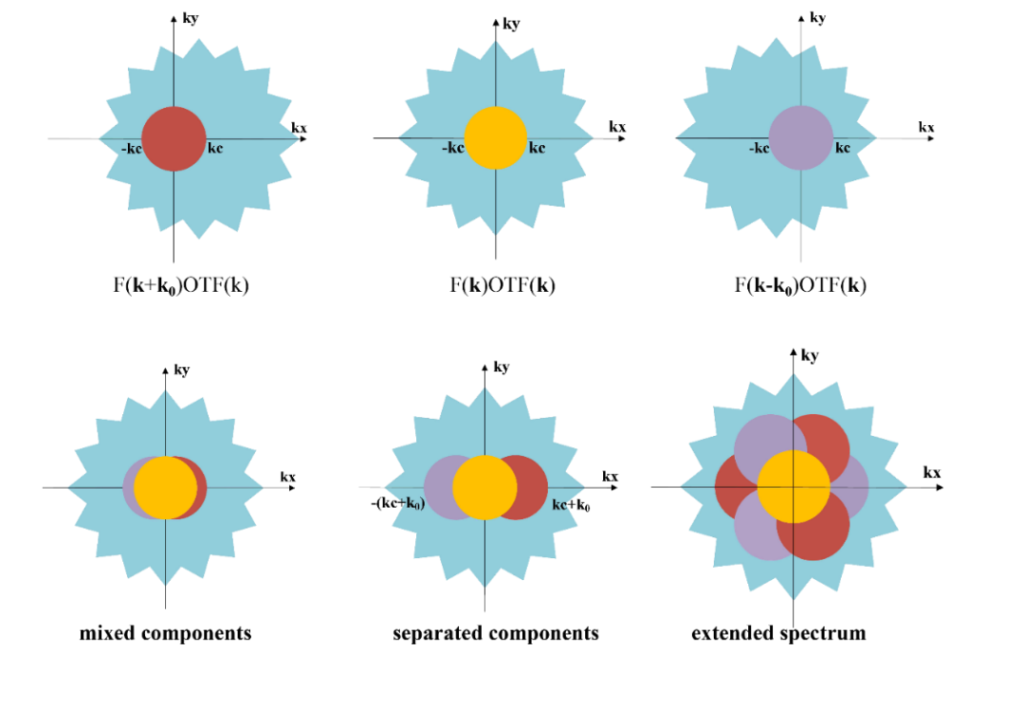 Structured Illumination Microscopy