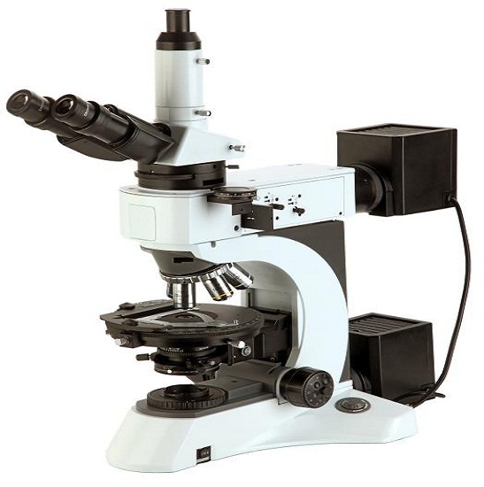 BS-5092TRF Polarizing Microscope