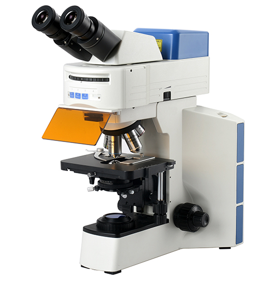 BS-2064FB(LED) LED Fluorescent Binocular Biological Microscope