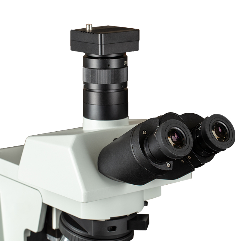 BS-2084 Biological Microscope