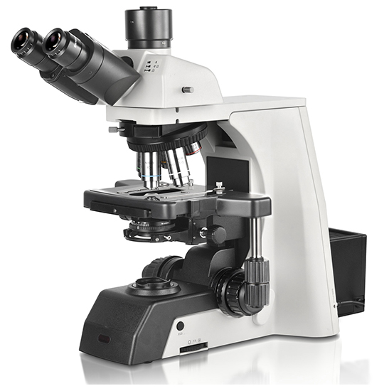 Clinical laboratory or a research laboratory BS-2081