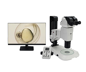 BS-3090M Motorized Research Zoom Stereo Microscope