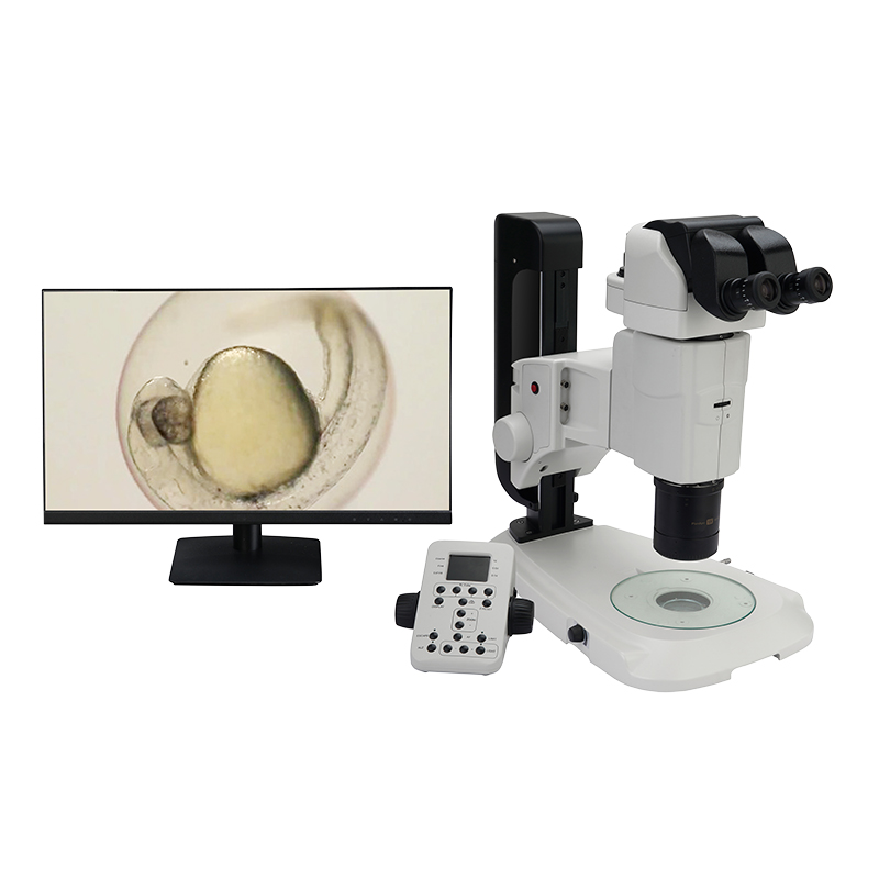 BS-3090M Motorized Research Zoom Stereo Microscope