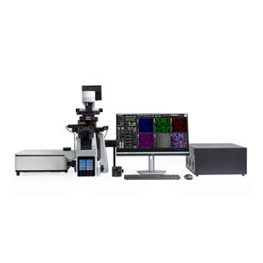 BCF Series Confocal Microscopy