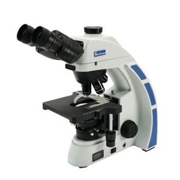 BS-2000 Series Biological Microscope