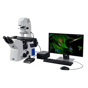 BS-2000 Series Fluorescent Microscope