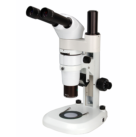 BS-3060CT Zoom Stereo Microscope