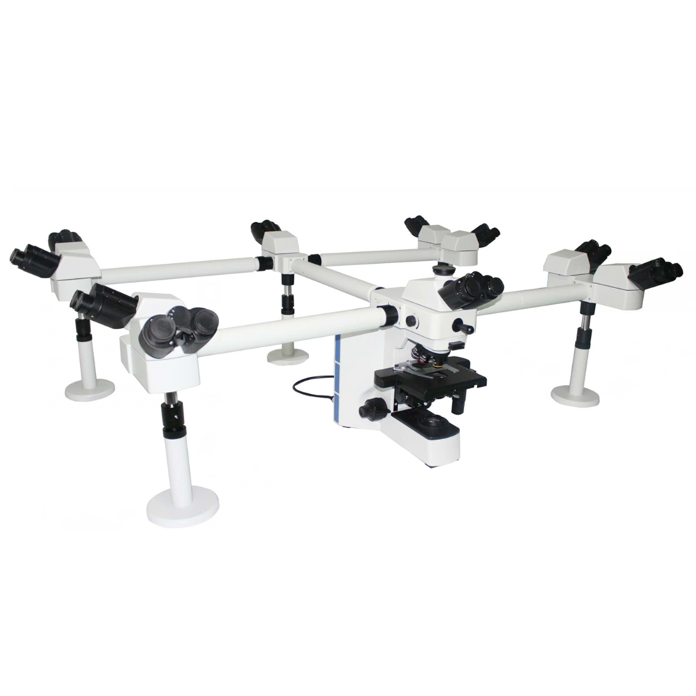 BS-2064MH10 Multi Viewing Biological Microscope