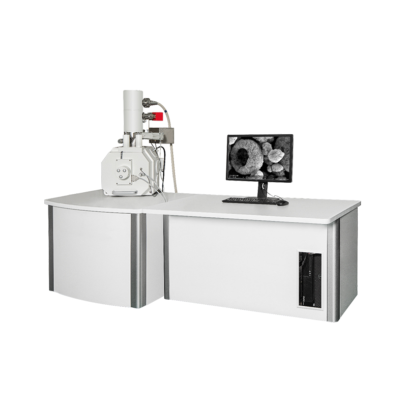 BSEM-810 Field Emission Gun Scanning Electron Microscope