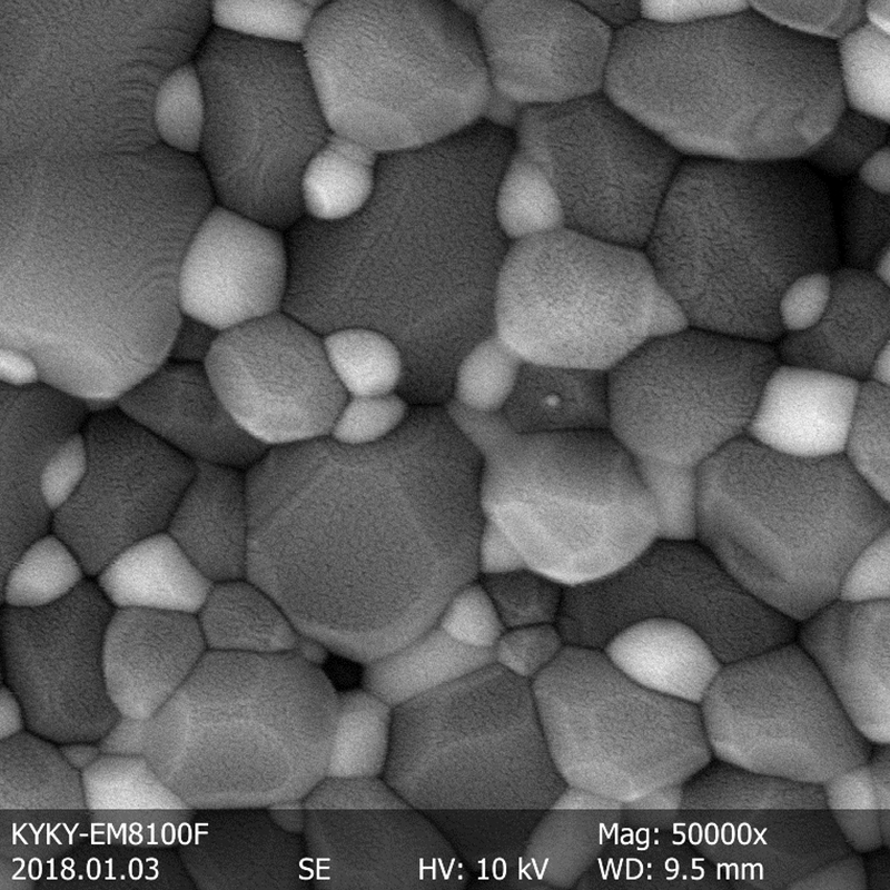 BSEM-810 Field Emission Gun Scanning Electron Microscope