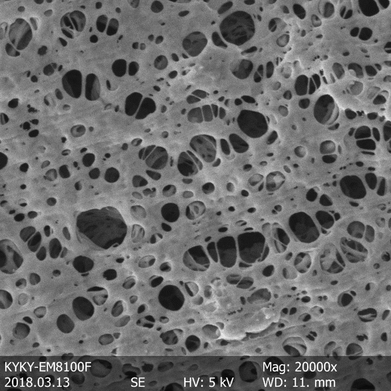 BSEM-810 Field Emission Gun Scanning Electron Microscope