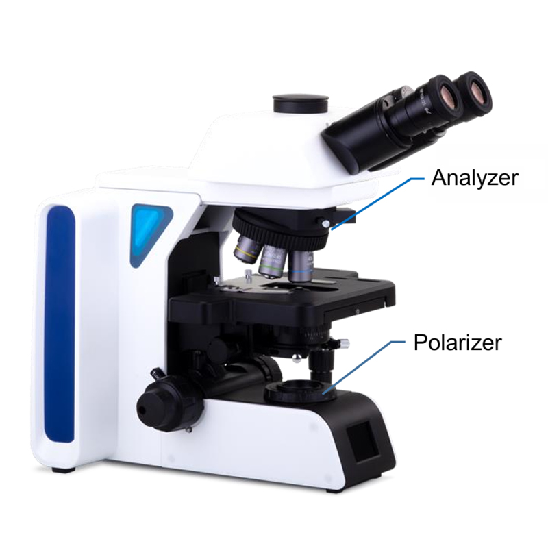 BS-2078B Trinocular Biological Microscope