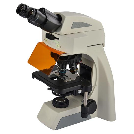 BS-2073FB(LED) LED Fluorescent Binocular Biological Microscope