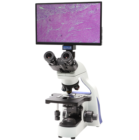 BLM5-243 LCD Digital Biological Microscope
