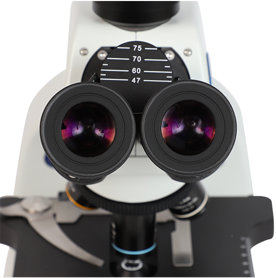 BLM5-243 LCD Digital Biological Microscope