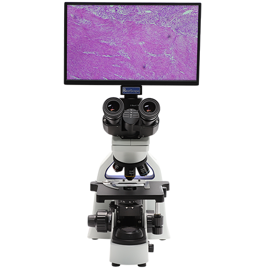BLM5-243 LCD Digital Biological Microscope