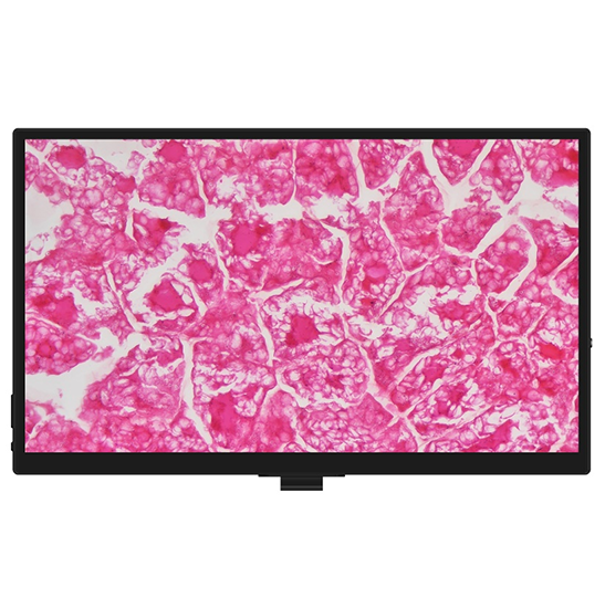 BLM5-243 LCD Digital Biological Microscope