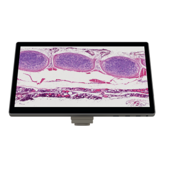 BLM4-221 LCD Digital Biological Microscope