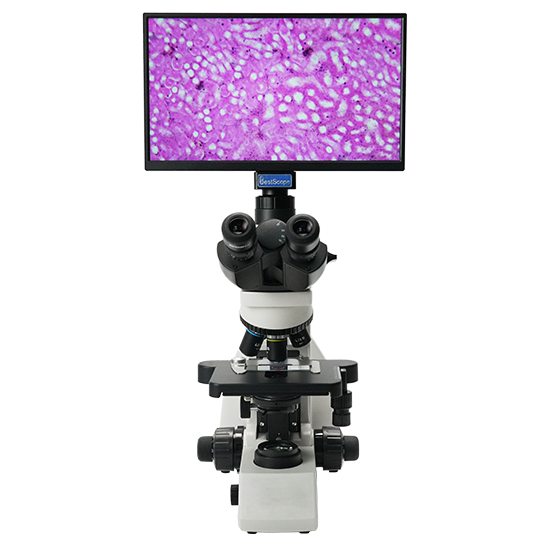 BLM5-253 LCD Digital Biological Microscope