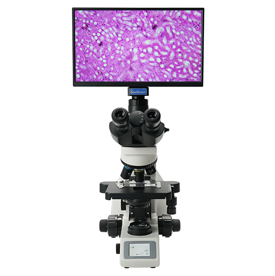 BLM5-254 LCD Digital Biological Microscope