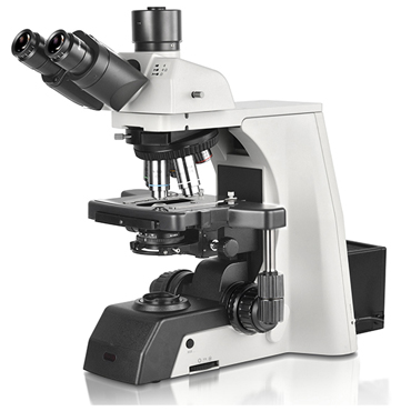  BS-2081 Research Biological Microscope