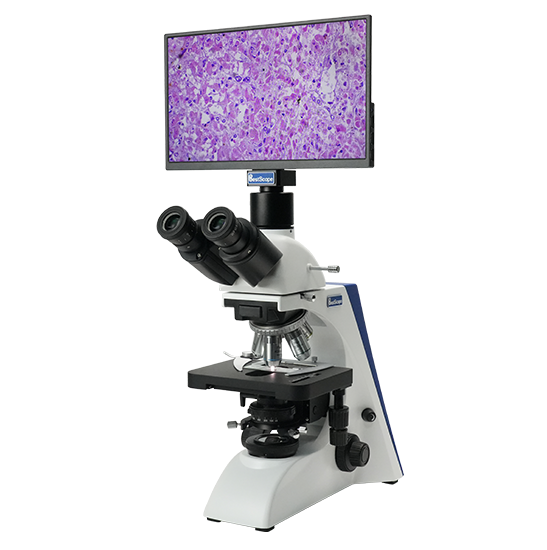 BLM5-263 LCD Digital Biological Microscope