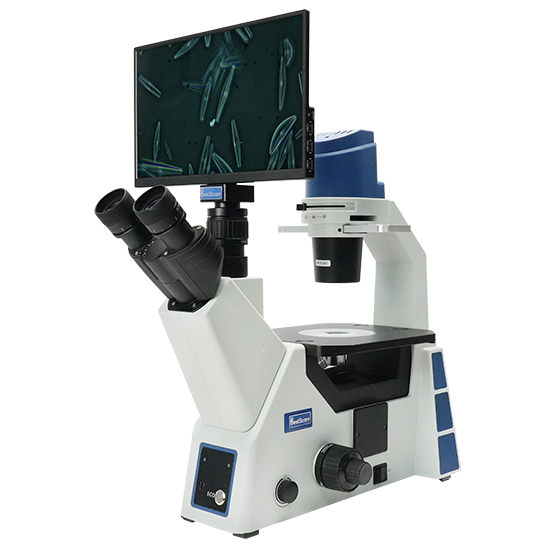 BLM5-291 LCD Digital Inverted Biological Microscope