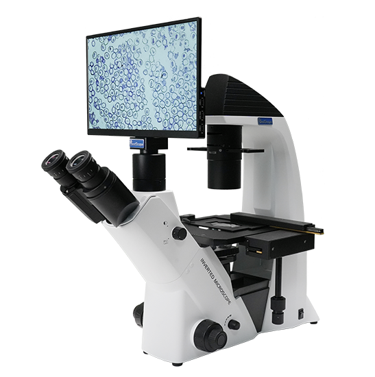 BLM5-293A LCD Digital Inverted Biological Microscope