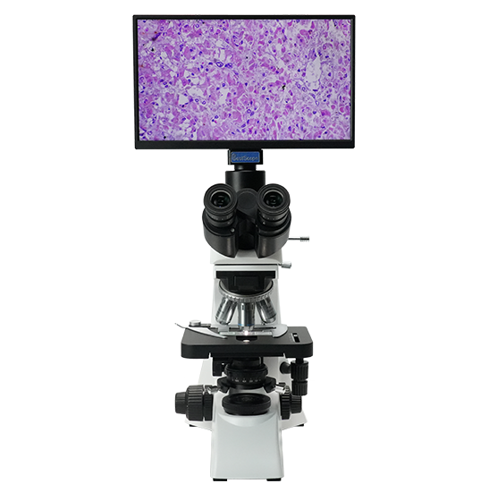 BLM5-263 LCD Digital Biological Microscope