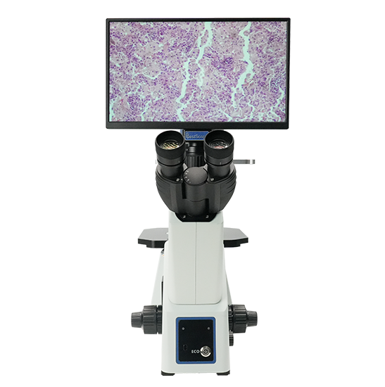 BLM5-291 LCD Digital Inverted Biological Microscope