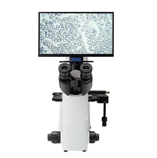 BLM5-293A LCD Digital Inverted Biological Microscope