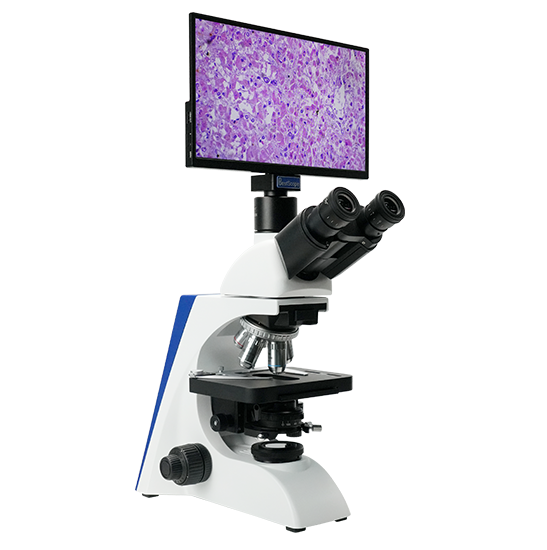 BLM5-263 LCD Digital Biological Microscope