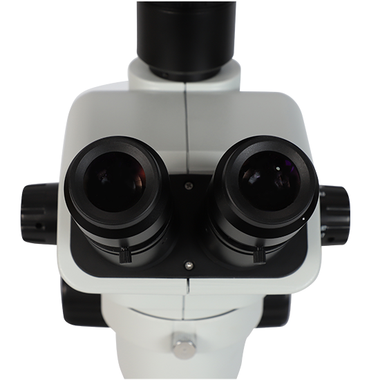 BLM5-336 LCD Digital Zoom Stereo Microscope