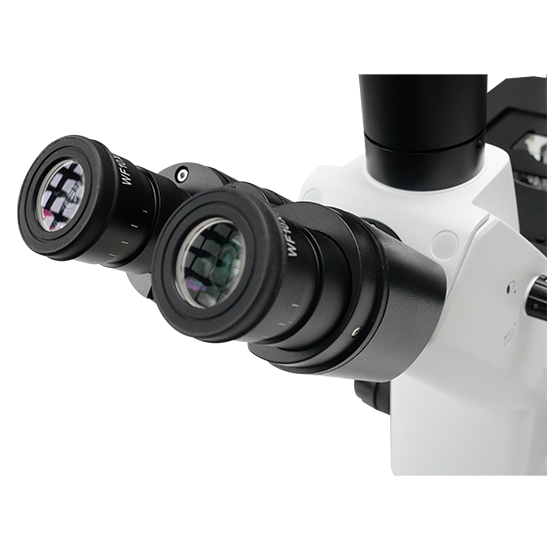 BLM5-293A LCD Digital Inverted Biological Microscope
