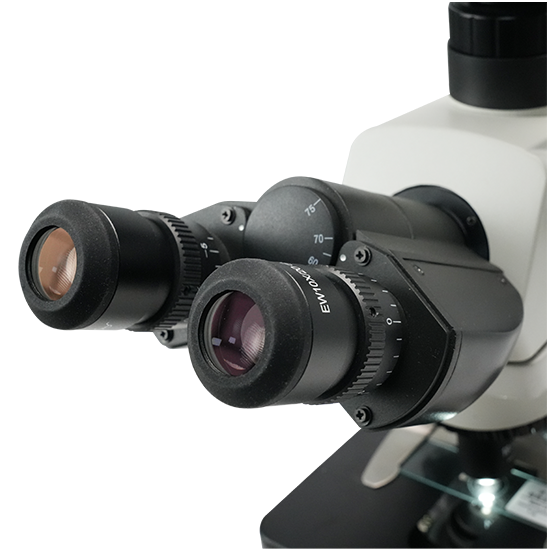 BLM5-254 LCD Digital Biological Microscope