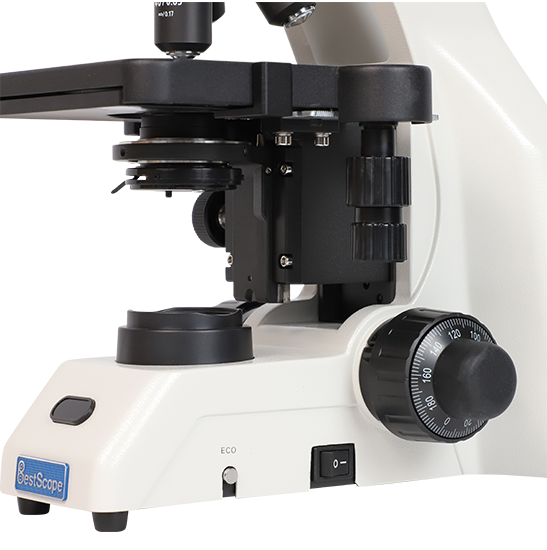 BLM5-252 LCD Digital Biological Microscope