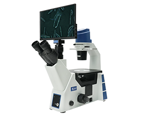 BLM5-291 LCD Digital Inverted Biological Microscope